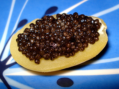 Canaps de Caviar -- 26/01/13